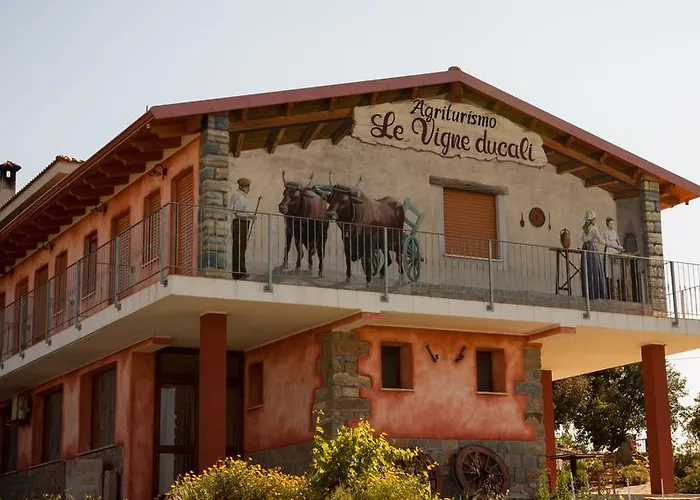 Agriturismo Le Vigne Ducali